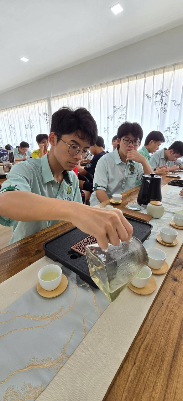 【一盏清茶,一片匠心 🍃】